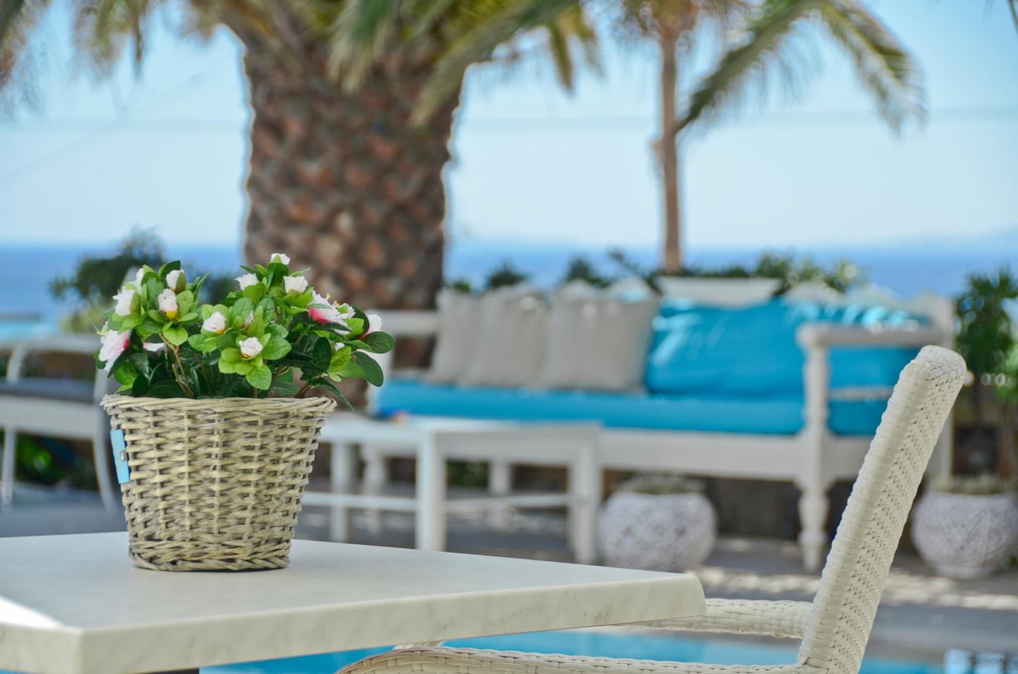 Dilino Hotel Studios photo 8