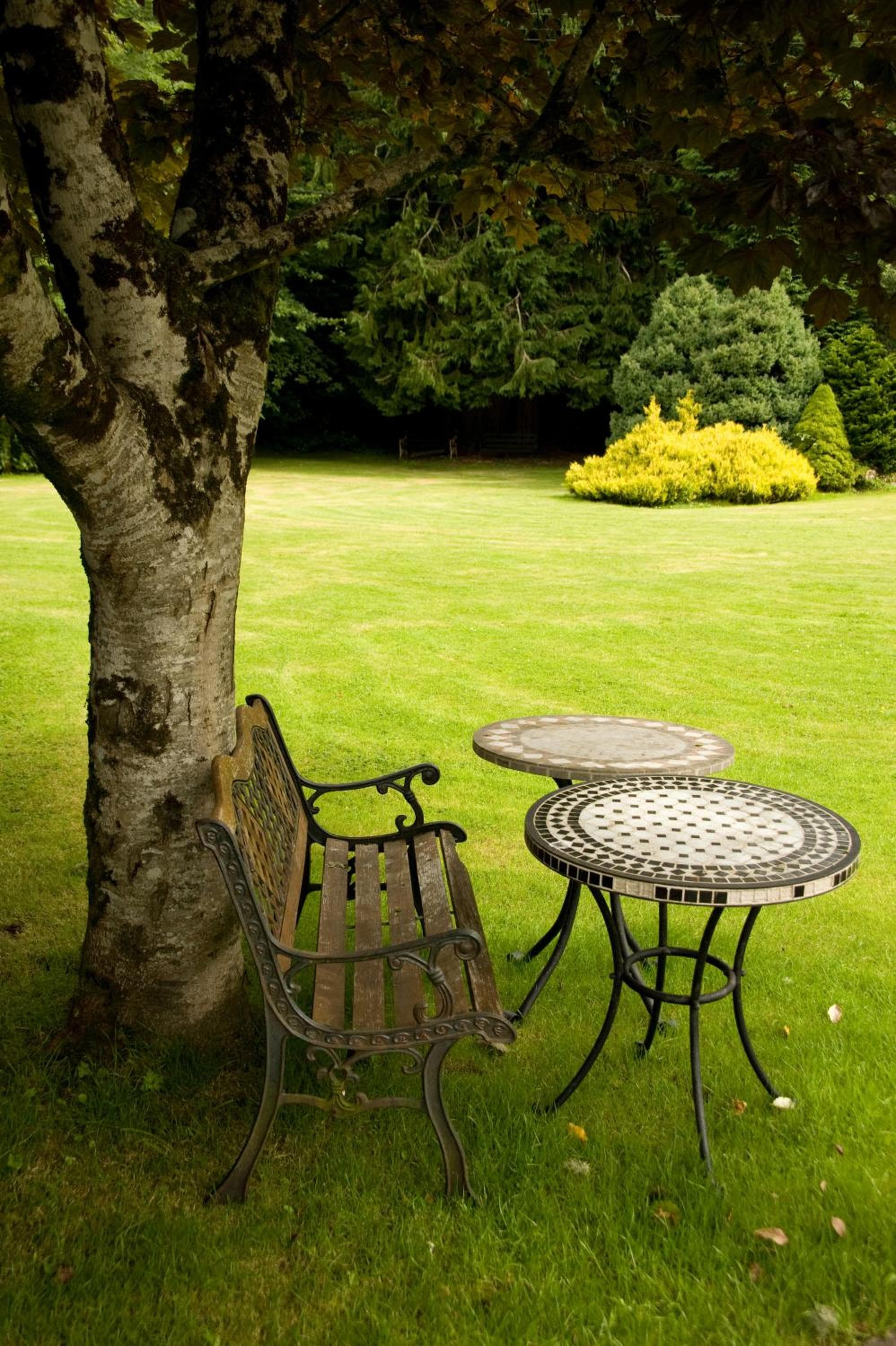 Mills Inn photo 4