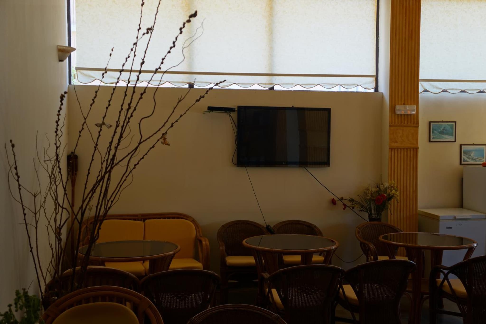 Lemonies photo 5