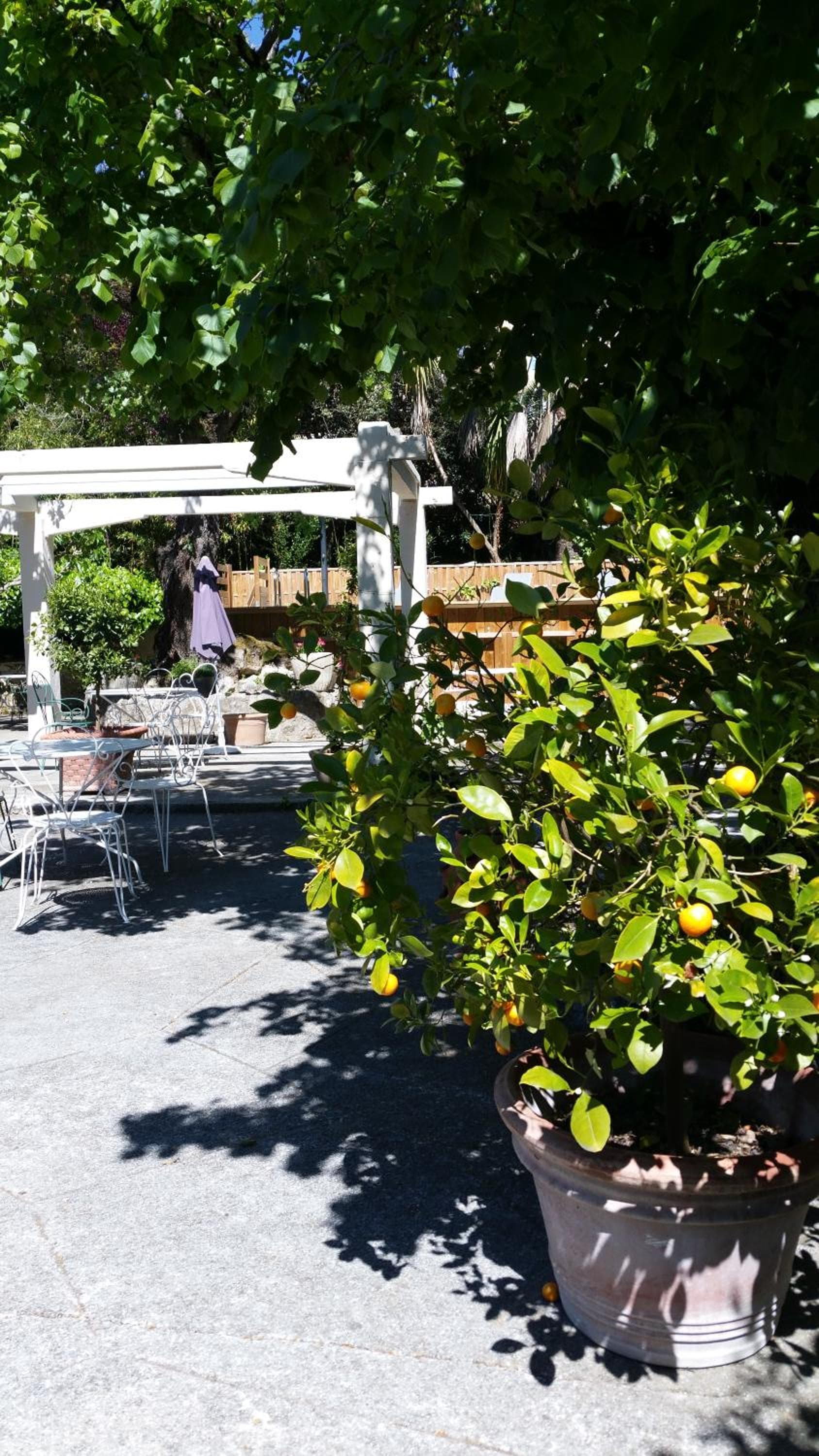 Le Clos du Loup photo 8