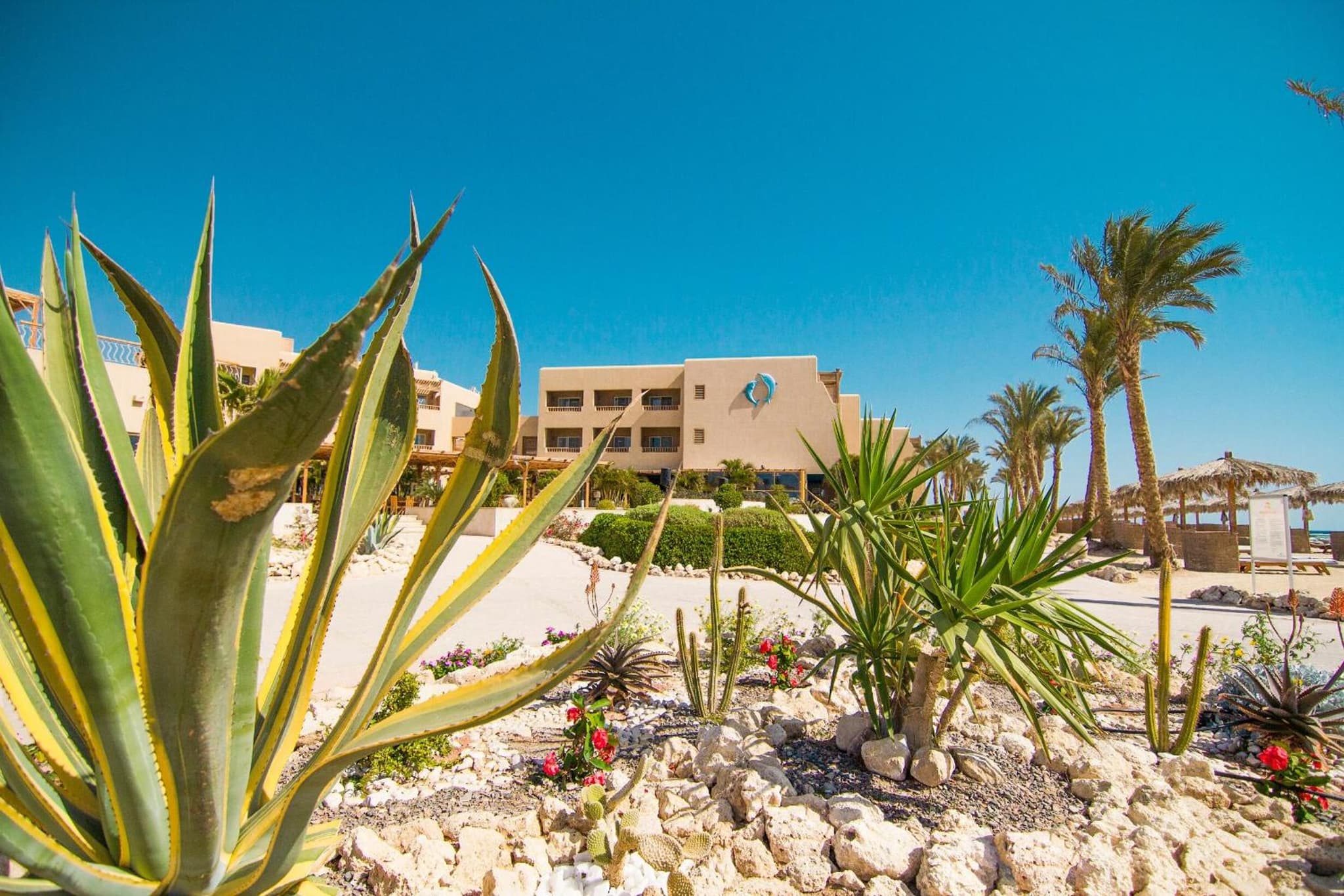 The Breakers Diving and Surfing Lodge Soma Bay