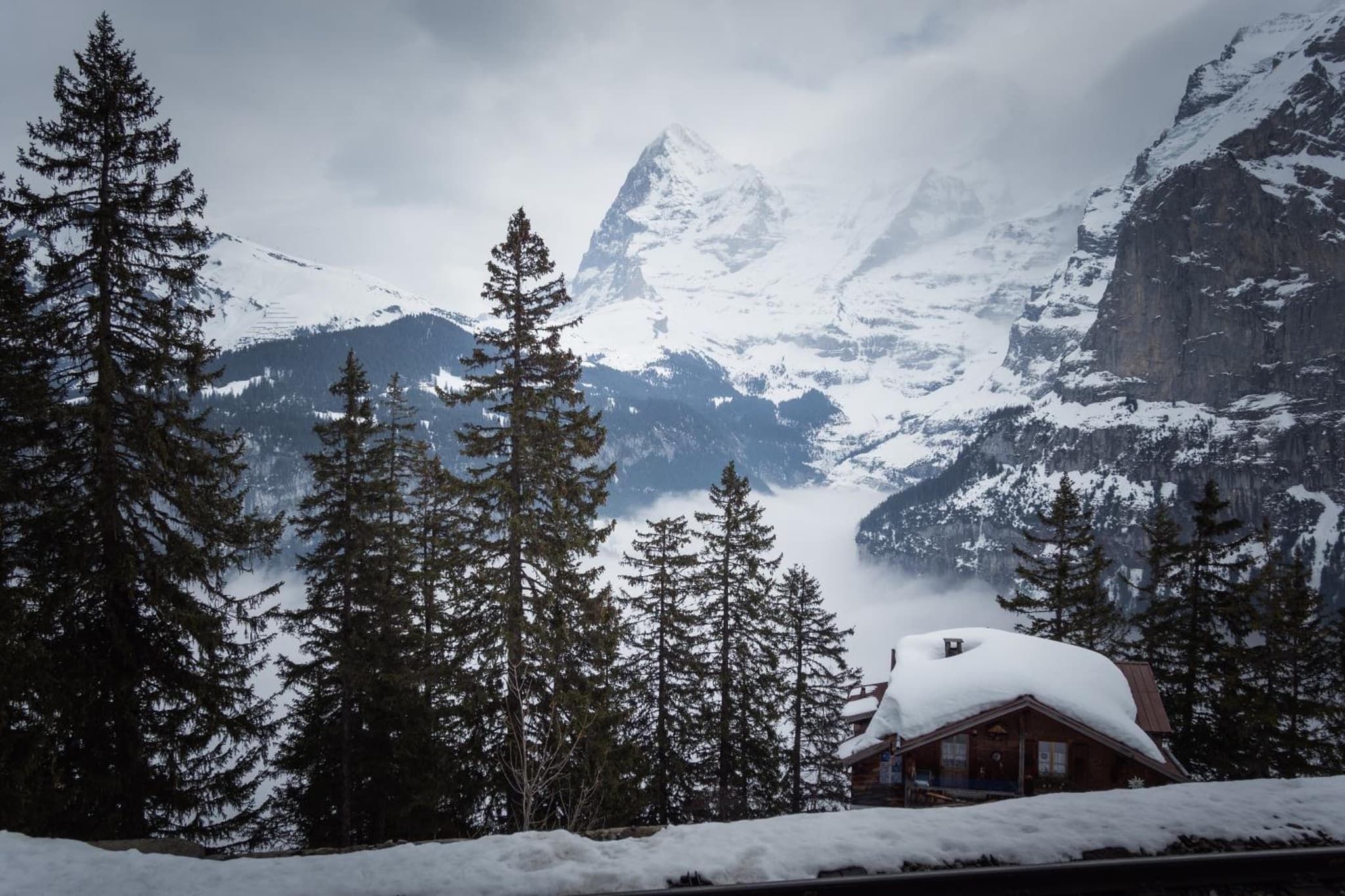 Hotel Alpenblick Mürren photo 9