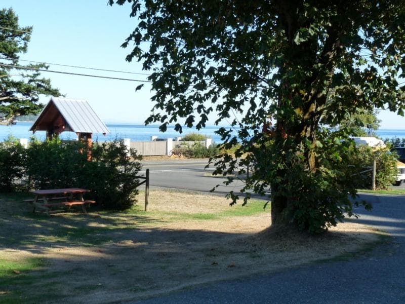 Driftwood by the Sea Inn photo 2