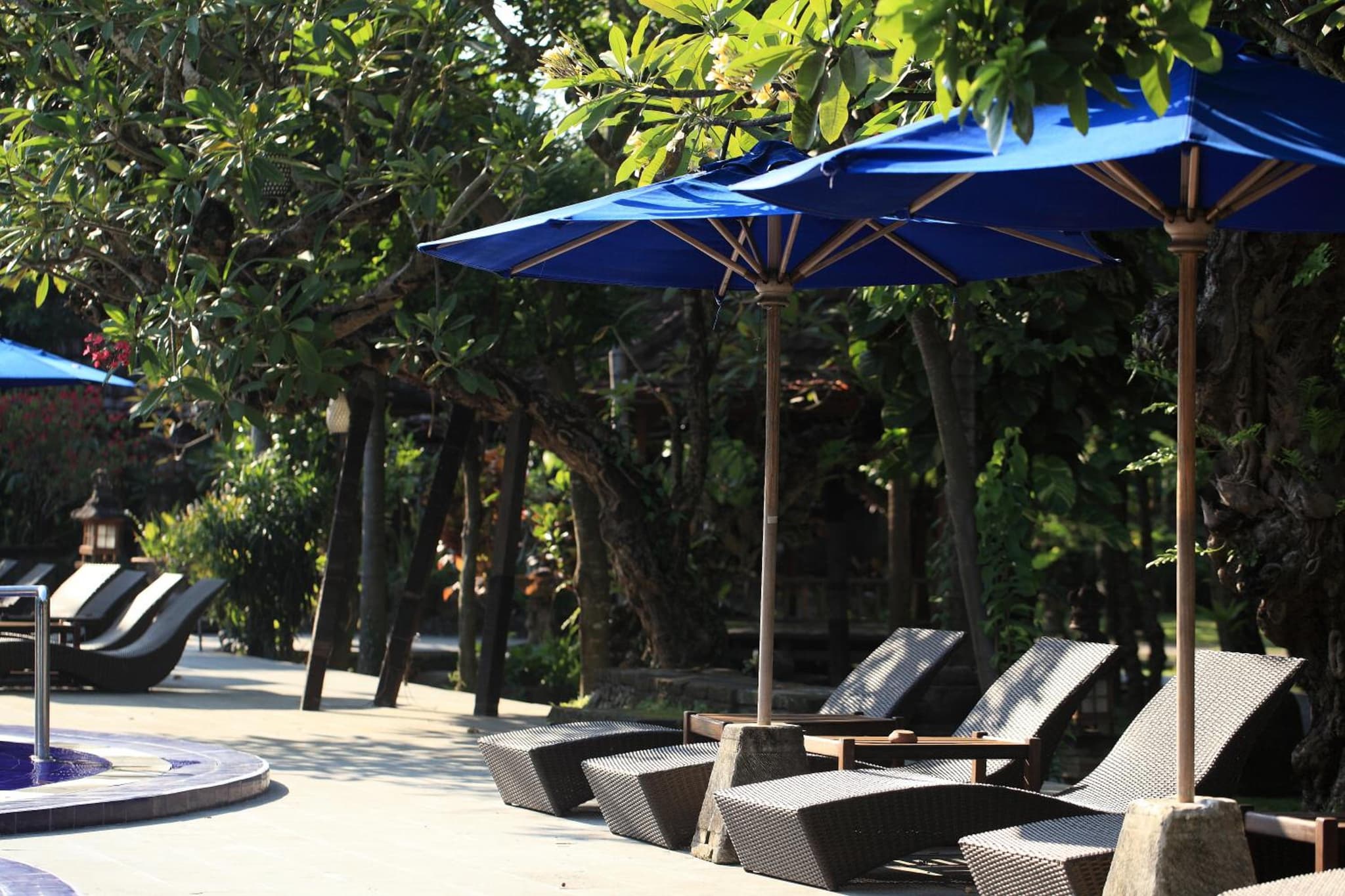 Matahari Bungalow photo 8