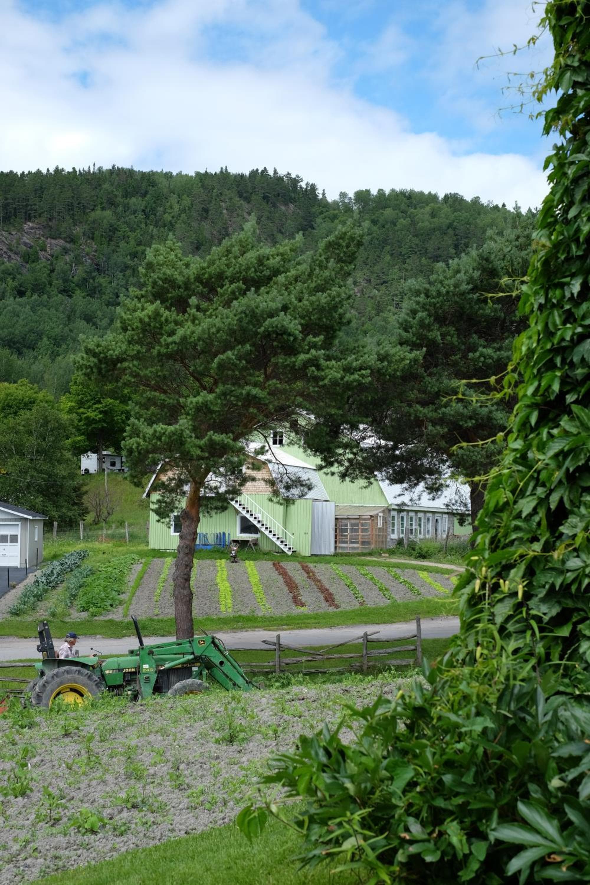 Ferme Jardin Potager photo 9
