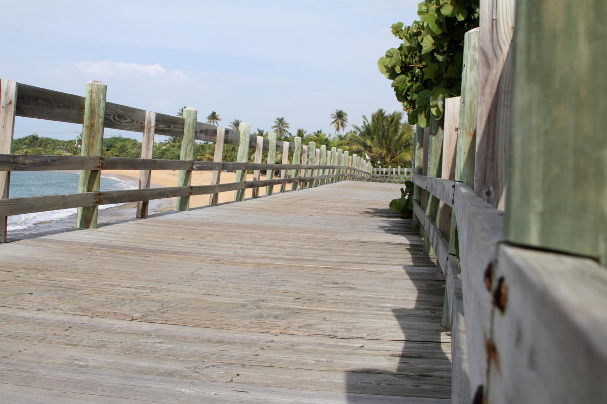 The Beach Guesthouse photo 5