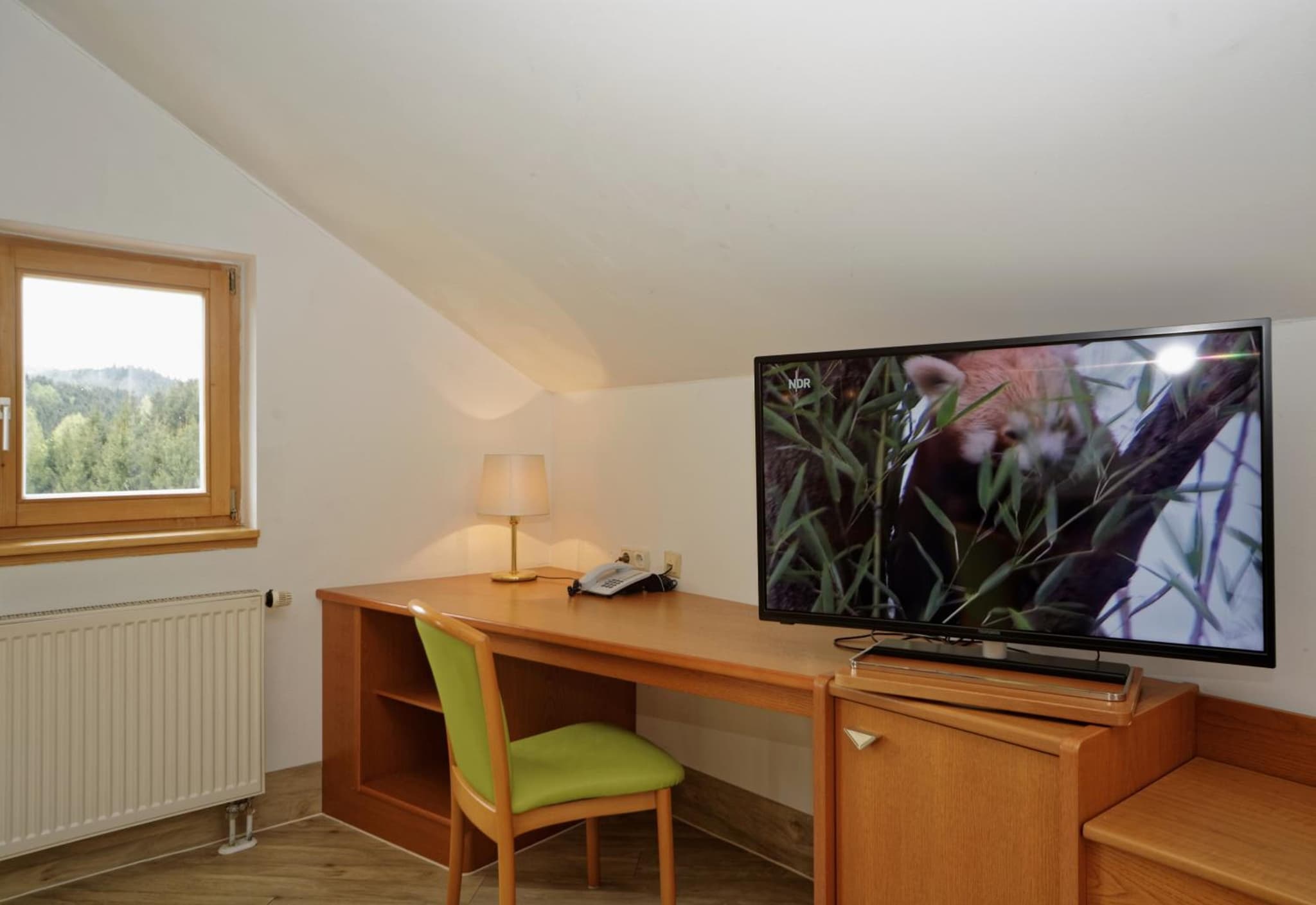 Village Hotel Bayerischer Wald photo 5