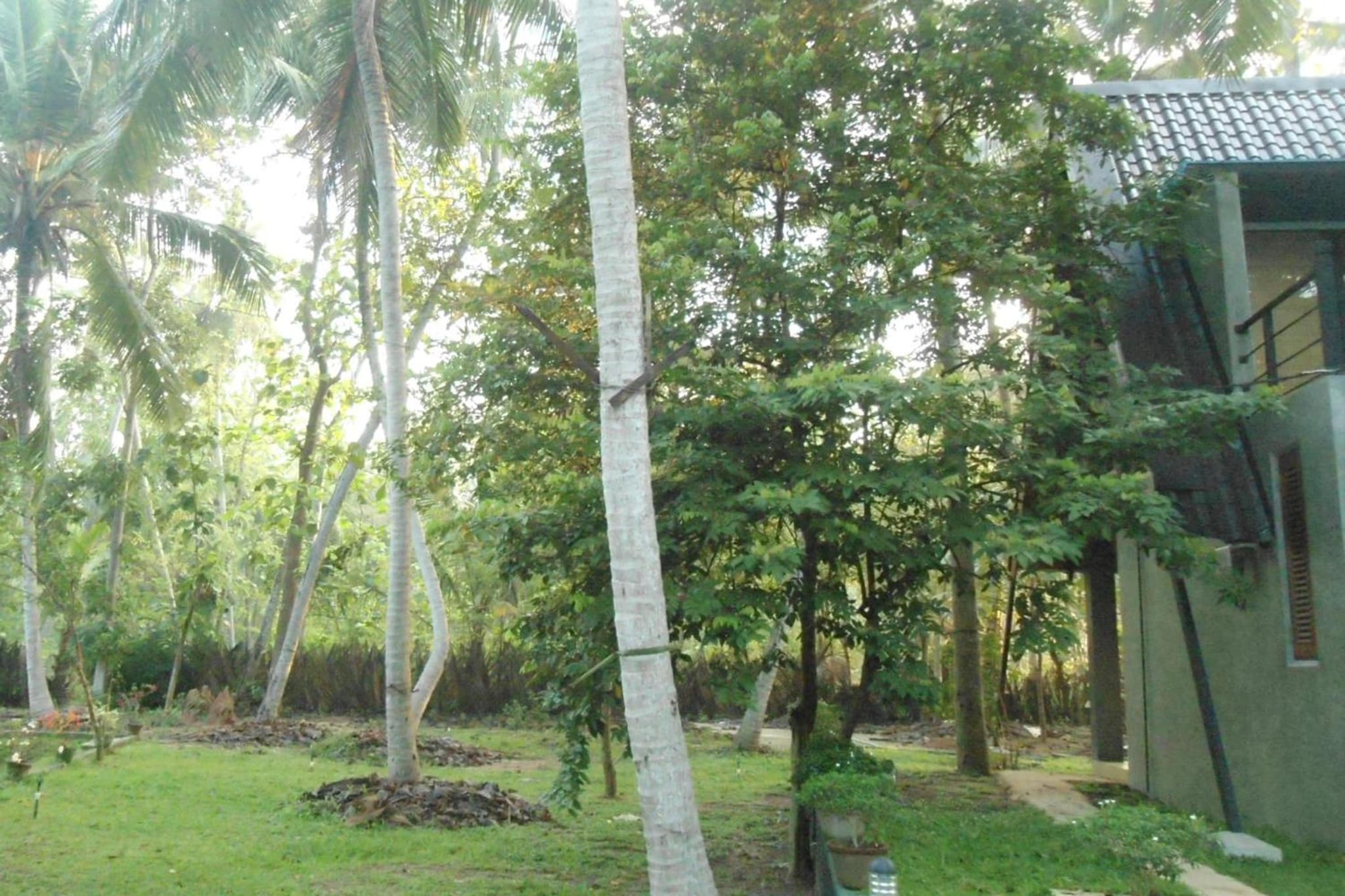 Elegant Hamlets Home Stay