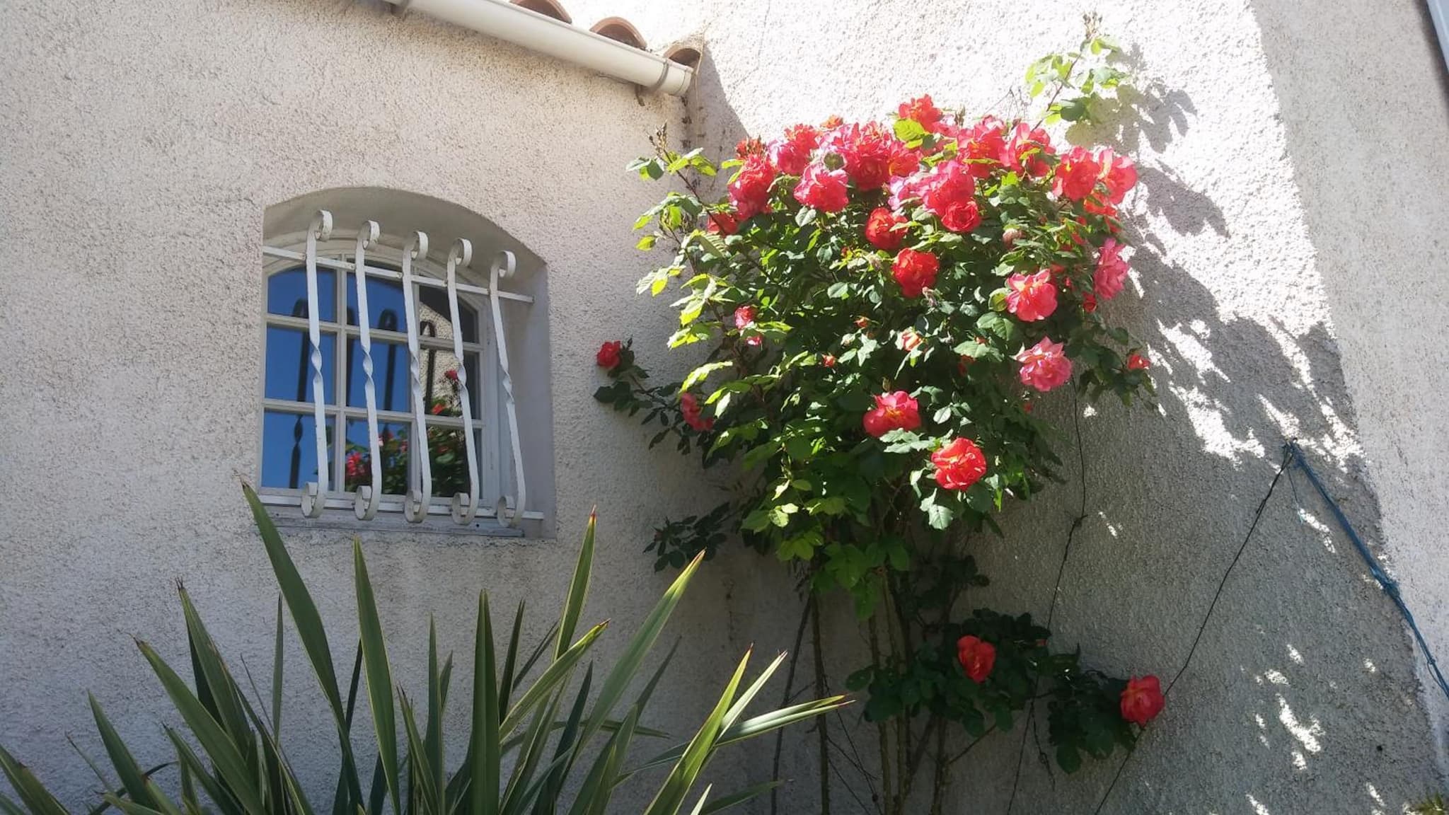 Villa Le Clos Fleuri photo 4