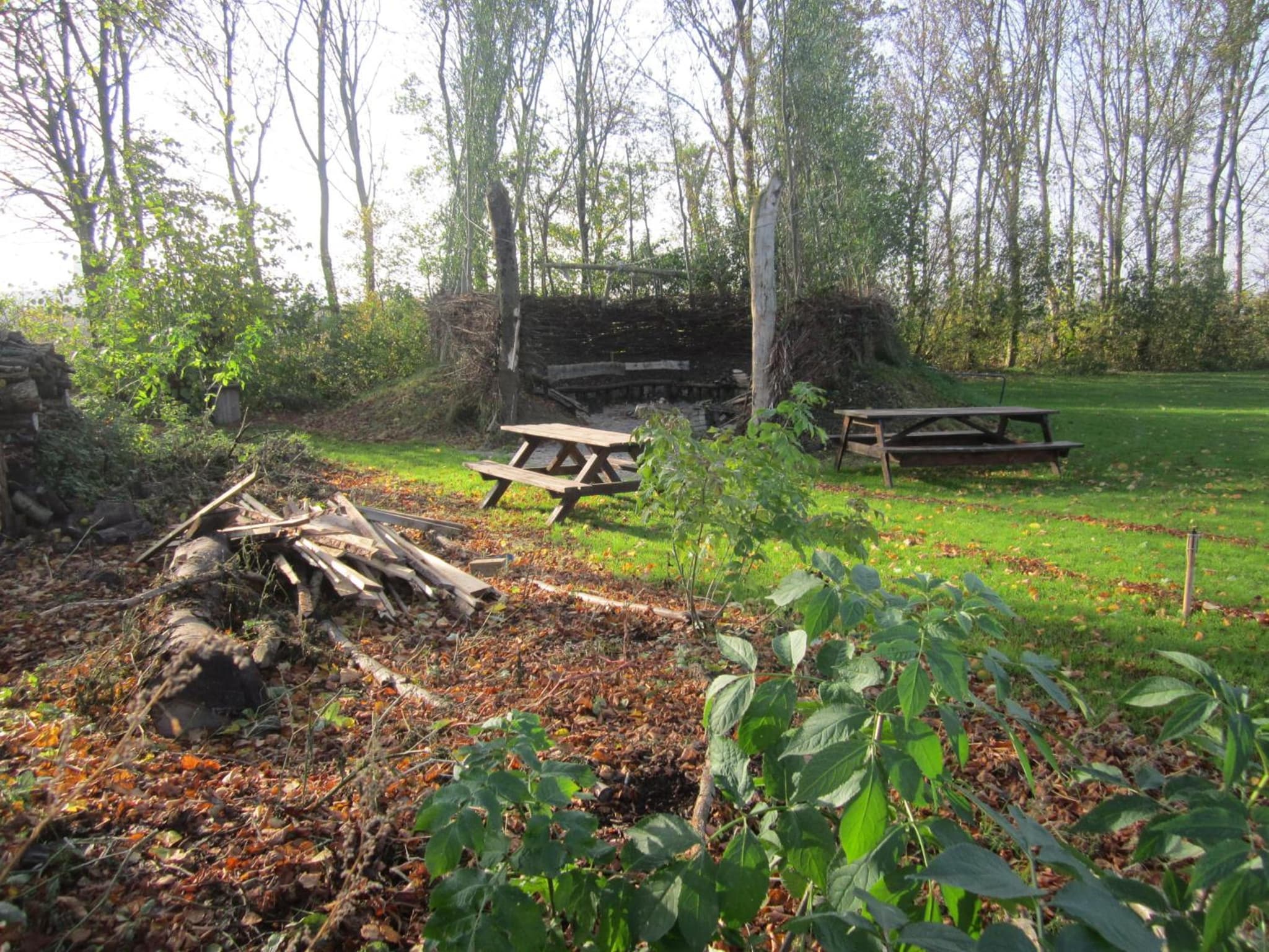 De Betovering photo 7