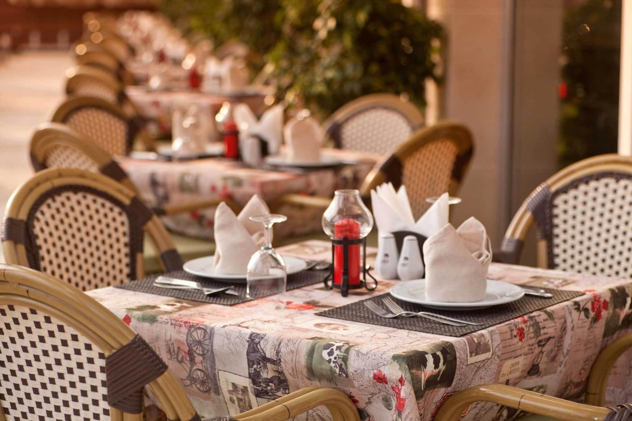 Gardenia Hotel photo 9