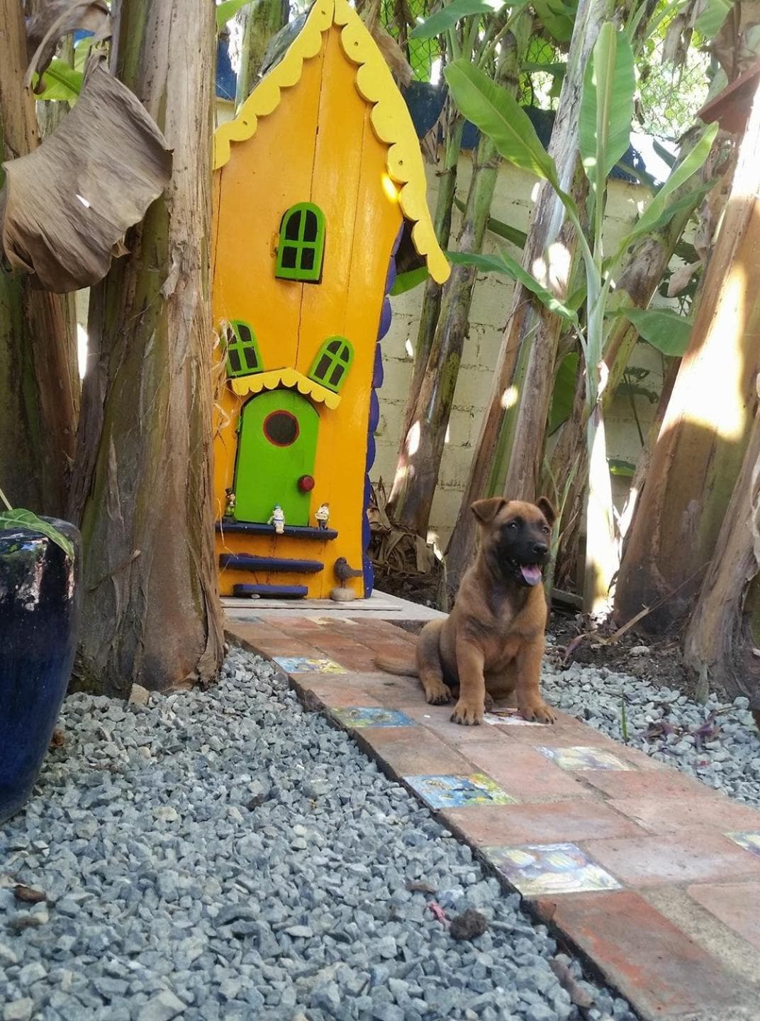 Sana El Jardin Secreto photo 5