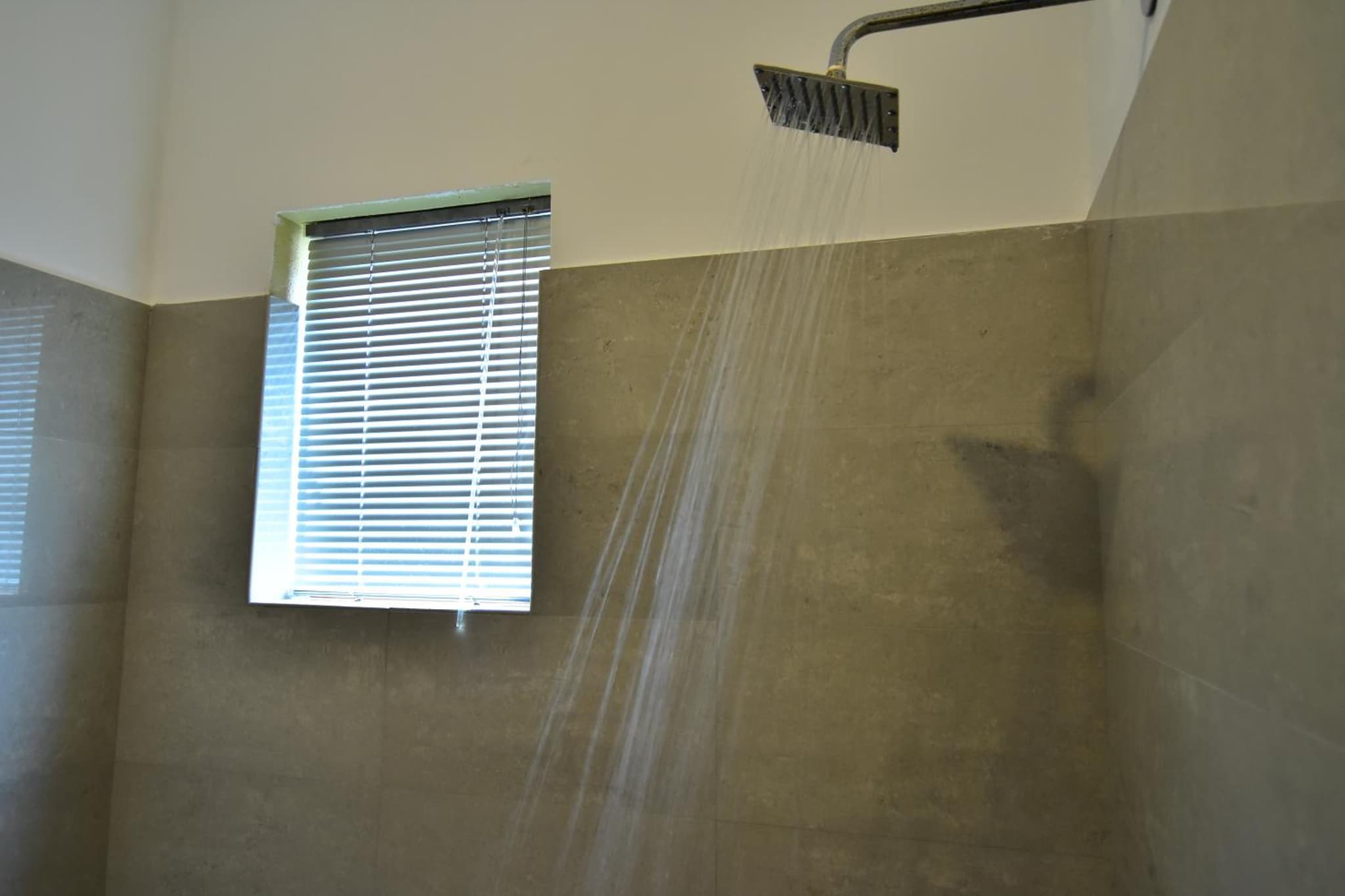 Park Lane Apartments photo 8