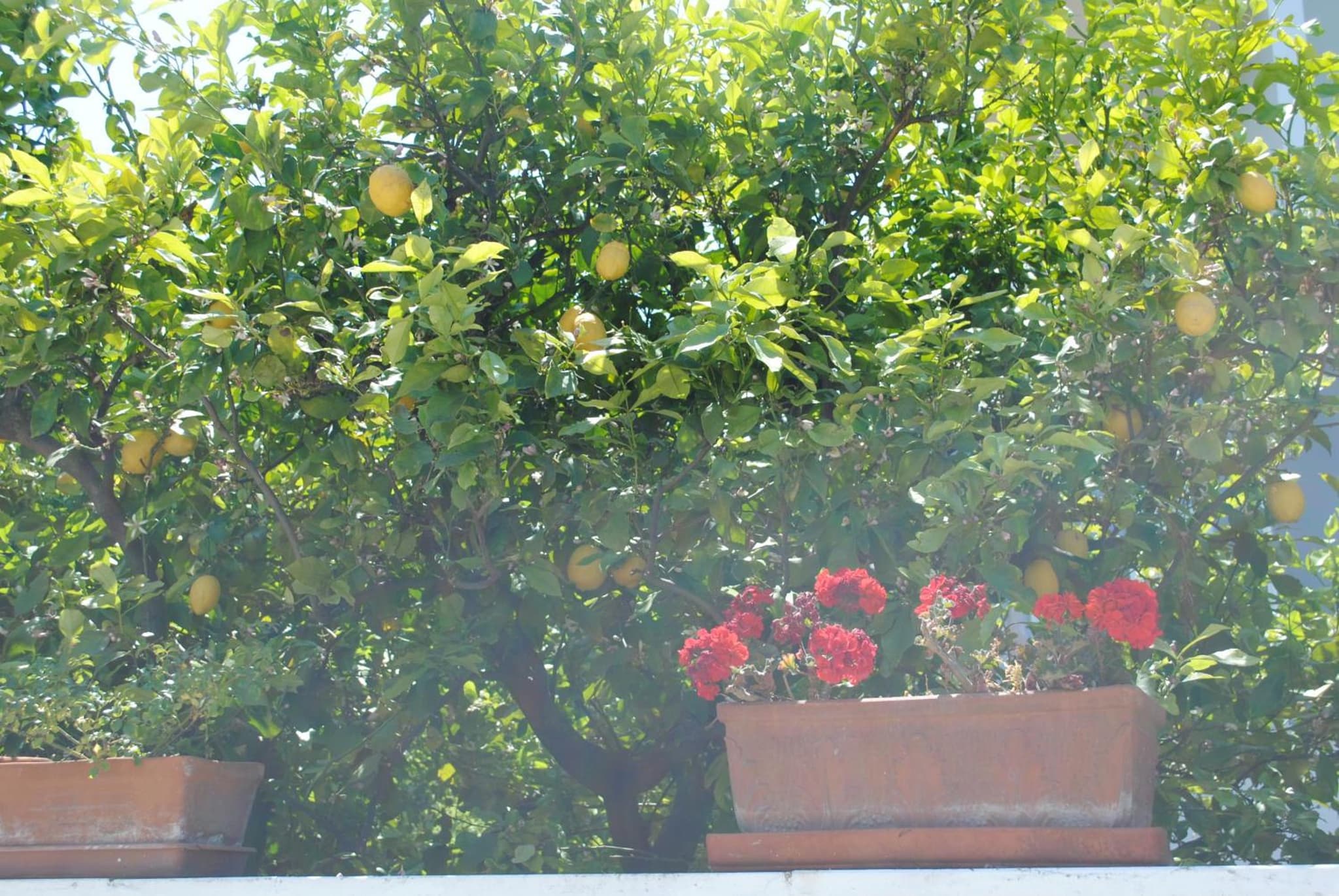 Annavi photo 9
