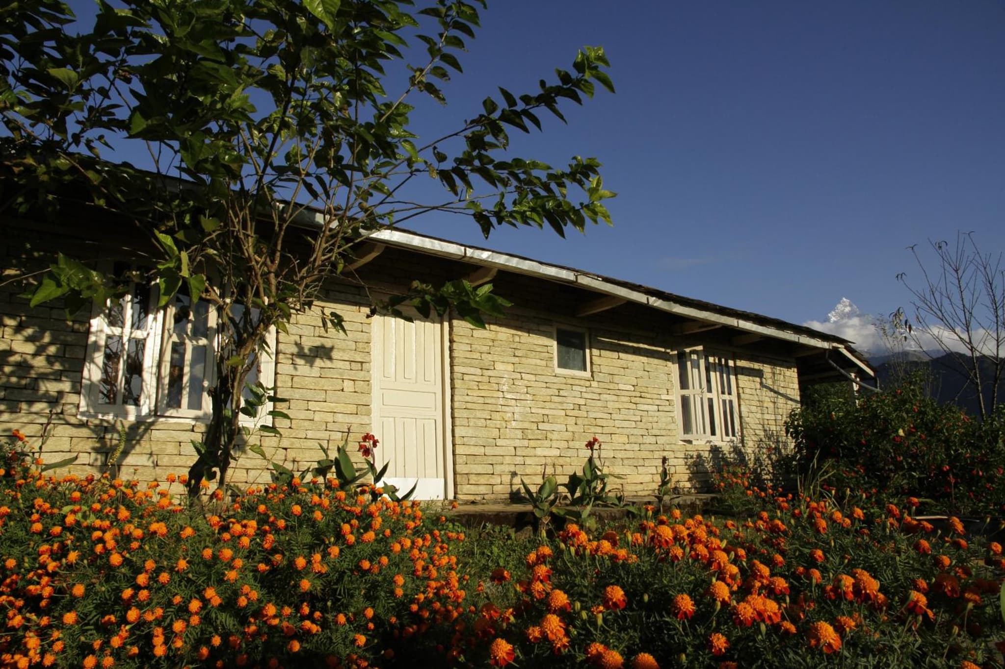 Annapurna Eco Village photo 2