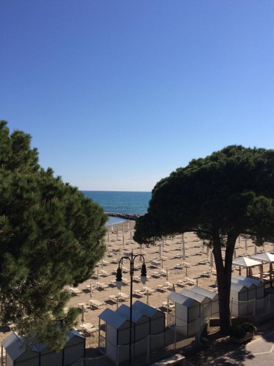 Bruseschi photo 5