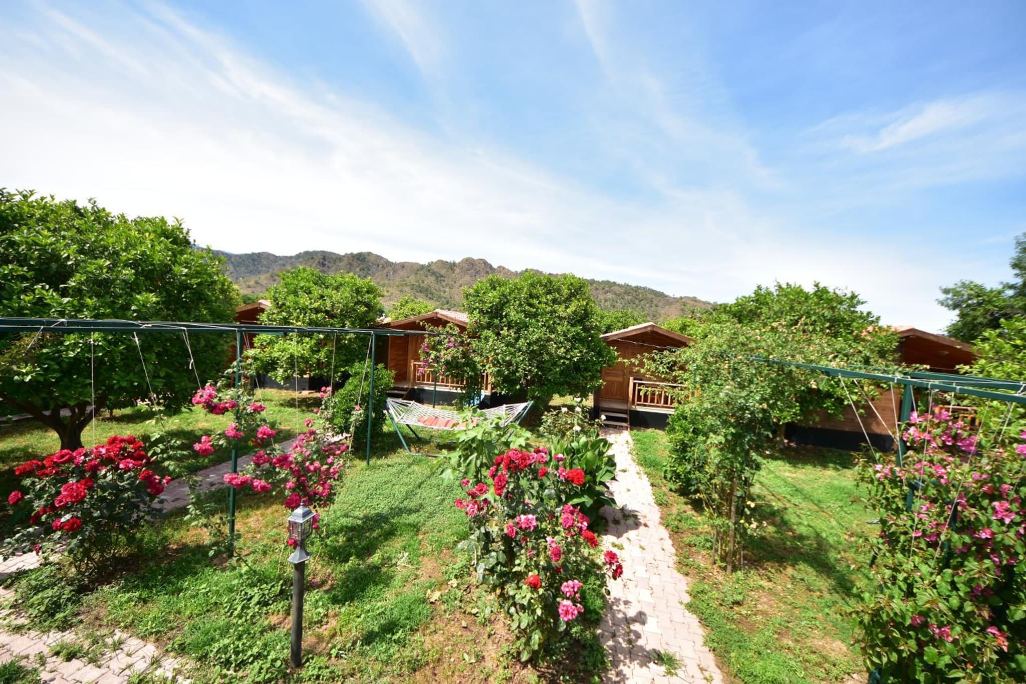 Lemon Garden Lodge photo 9