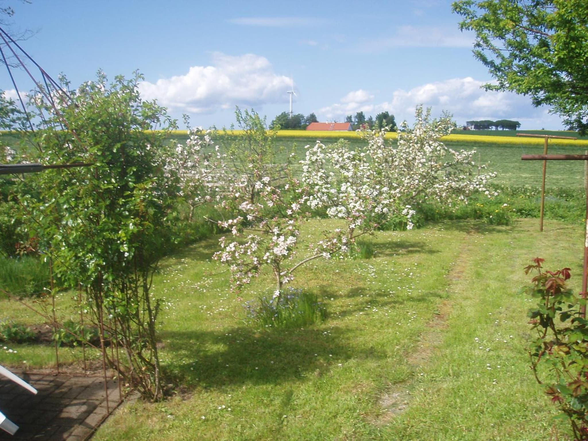 Country house photo 2
