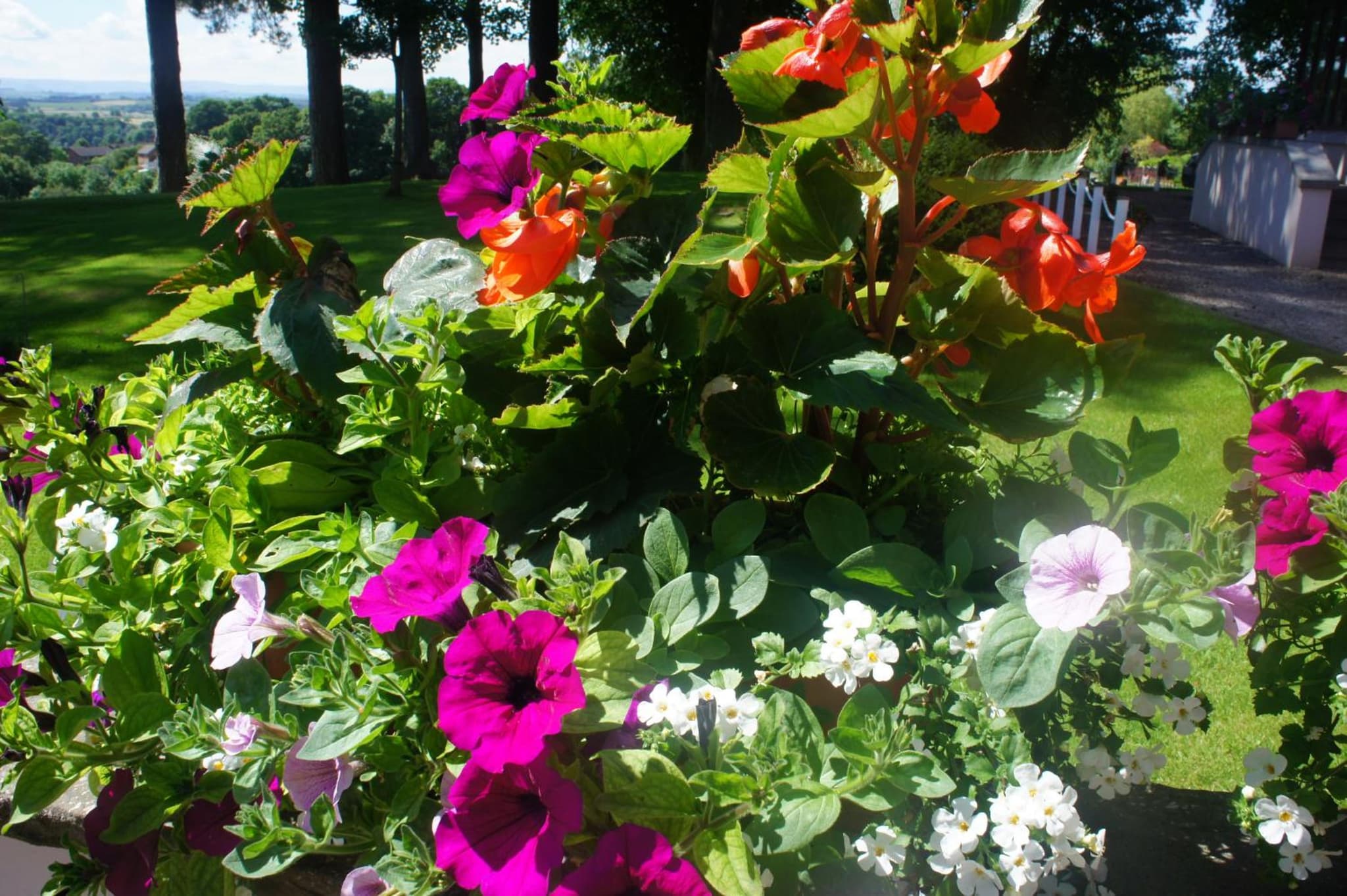 Appleby Manor Hotel & Garden Spa photo 6