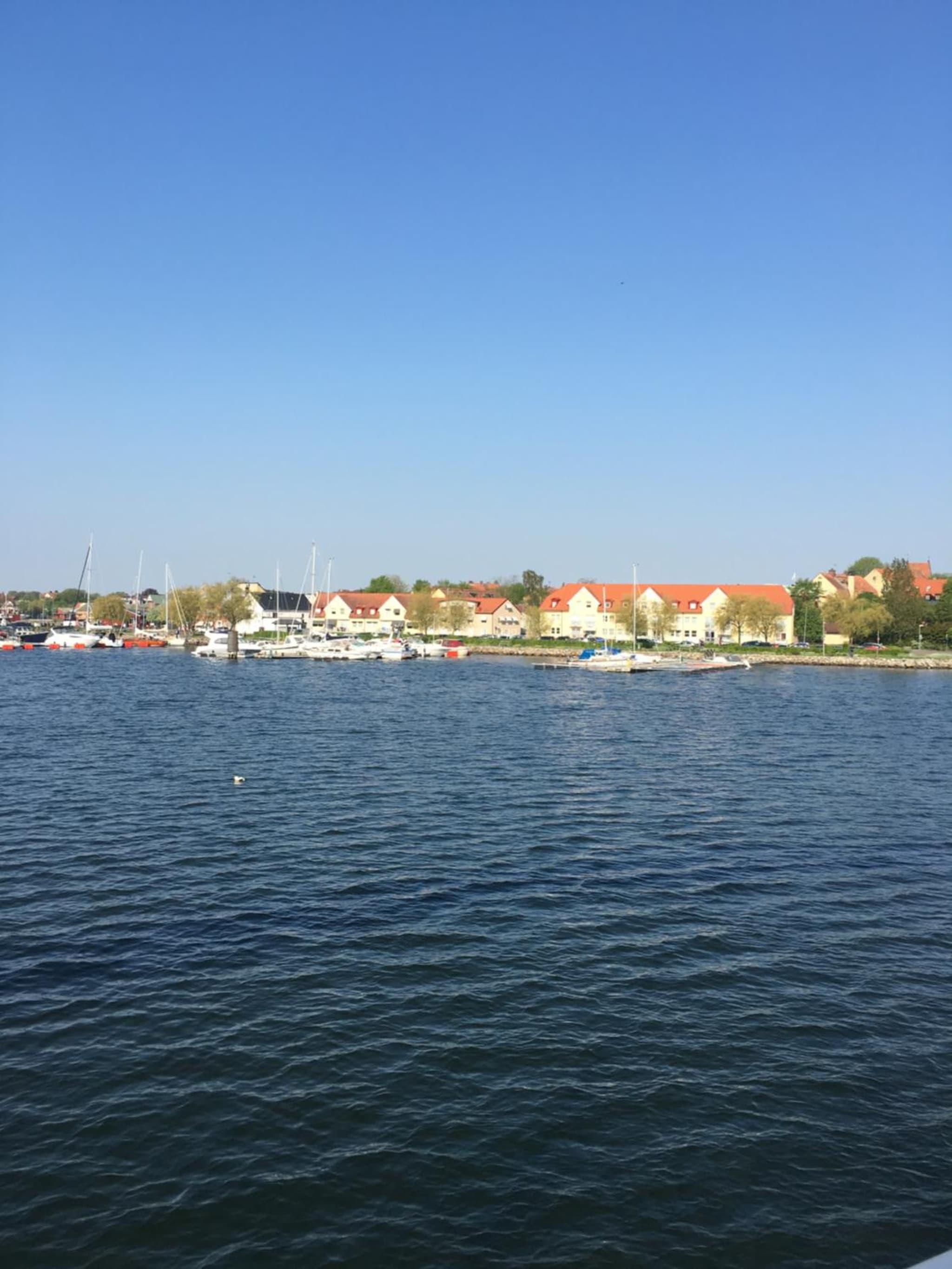 Lusthuset photo 5