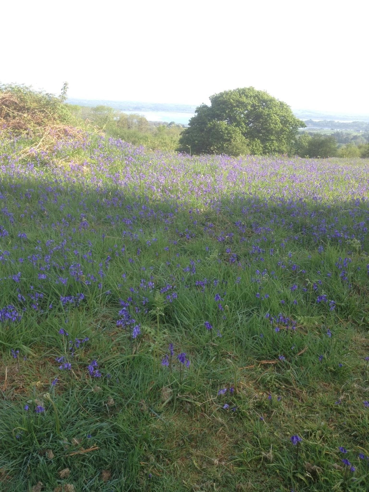 Roberts’ Cottage photo 6