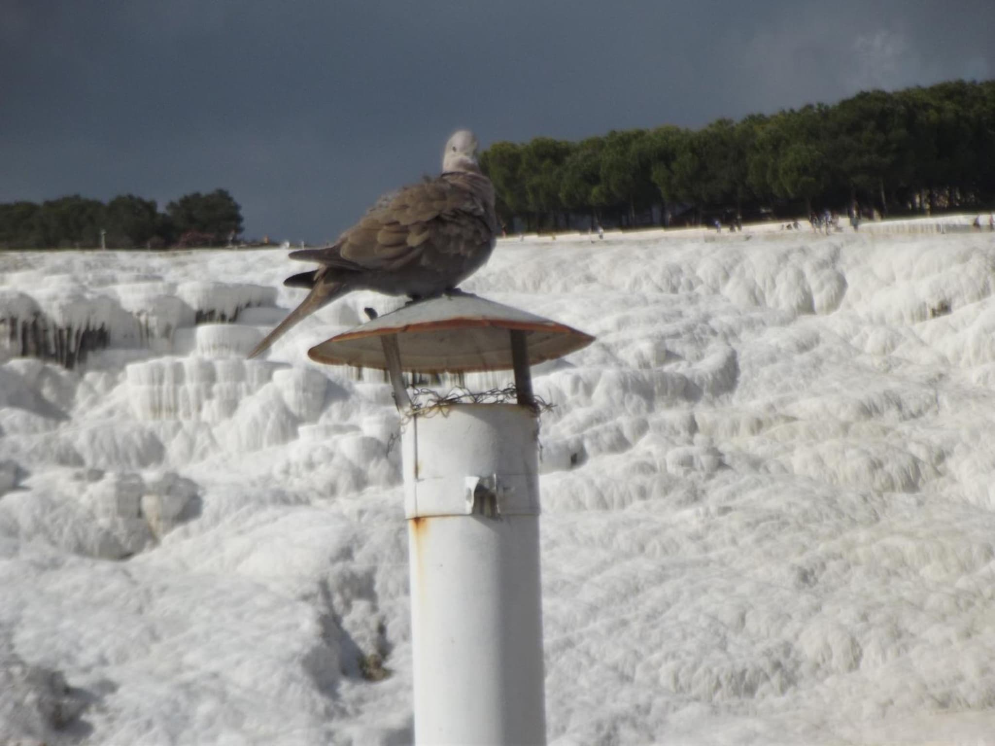 Hotel HAL-TUR photo 4