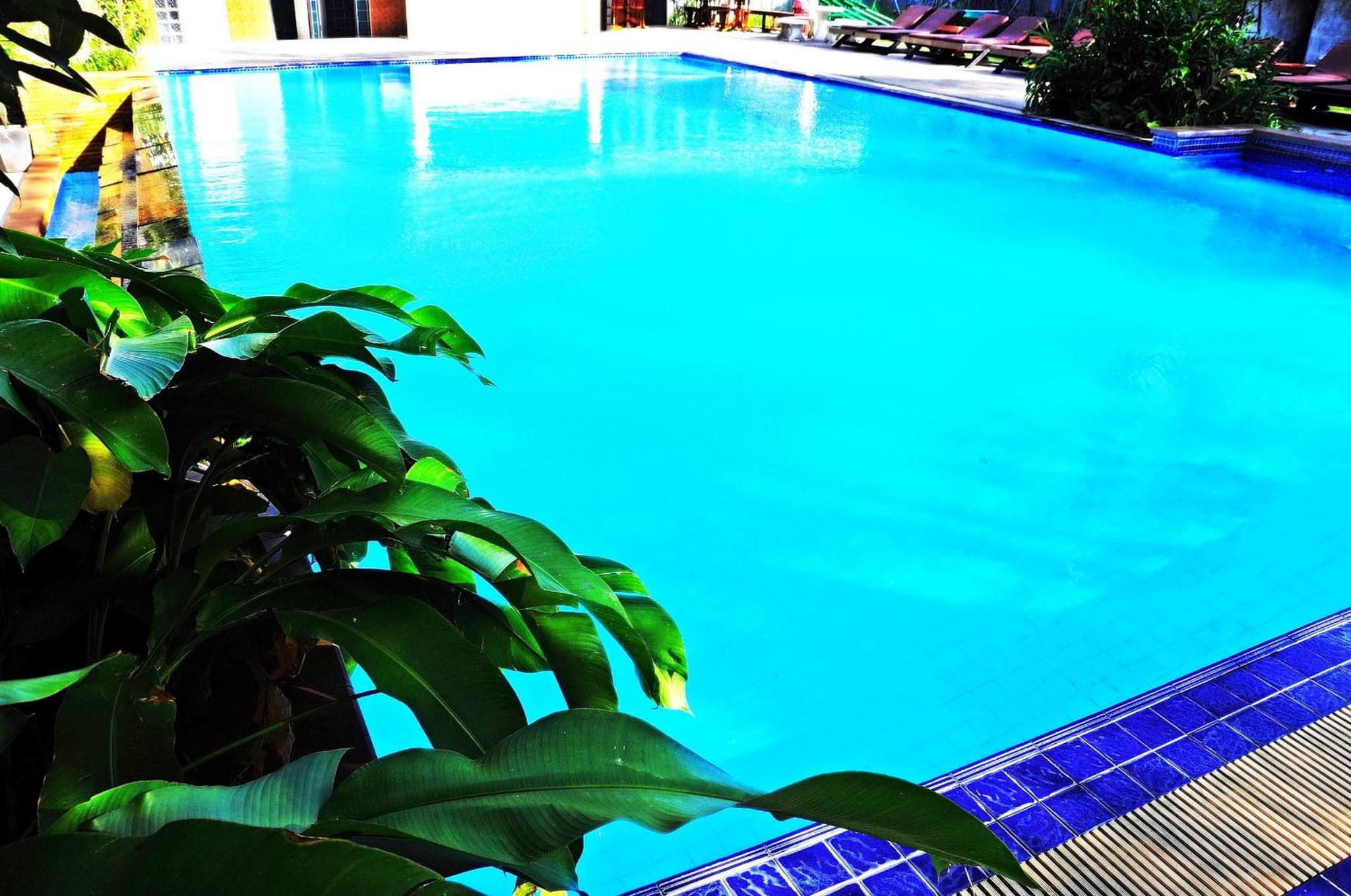Alina Grande Hotel & Resort photo 5