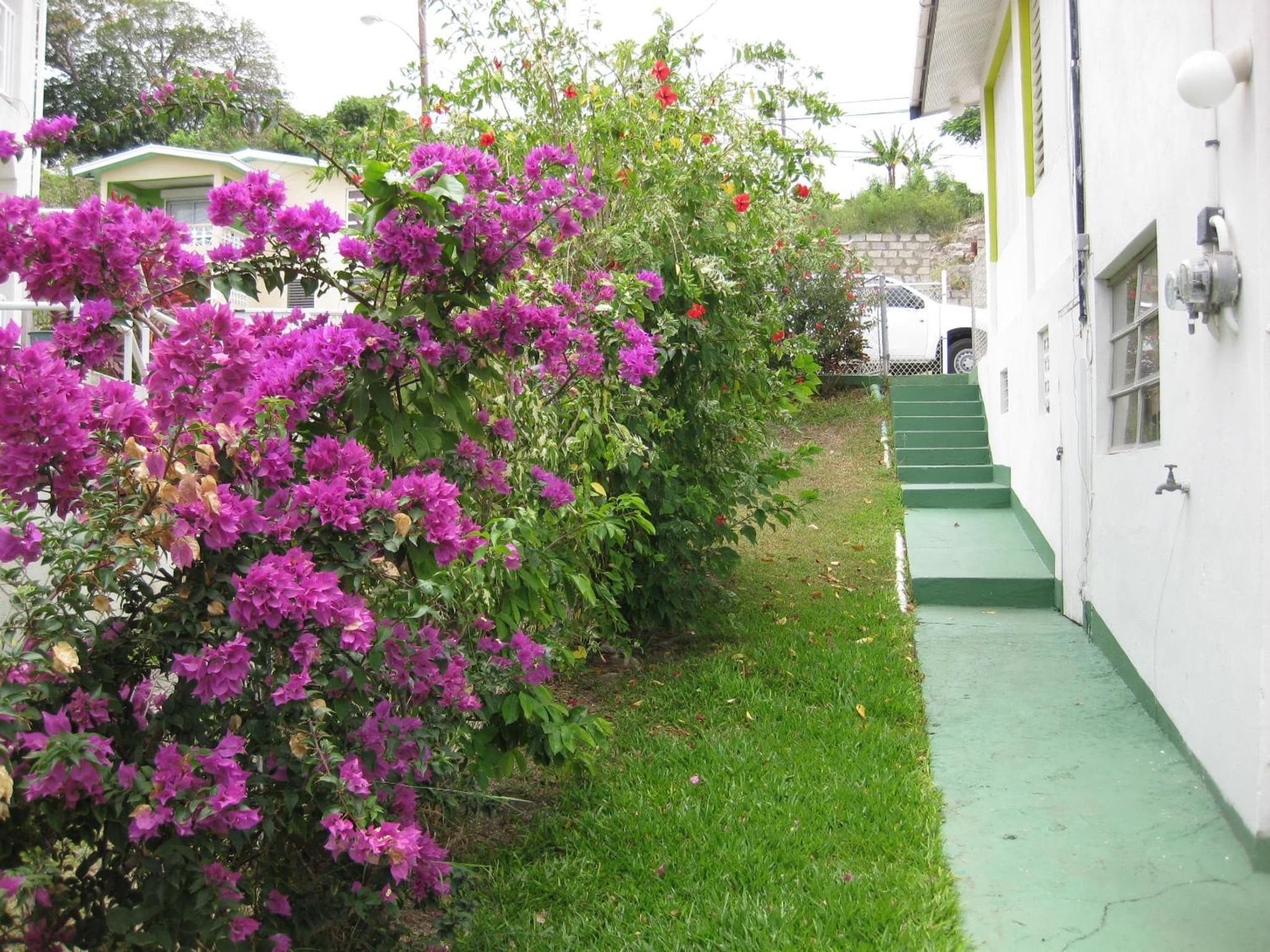 Walsh's Guesthouse photo 4