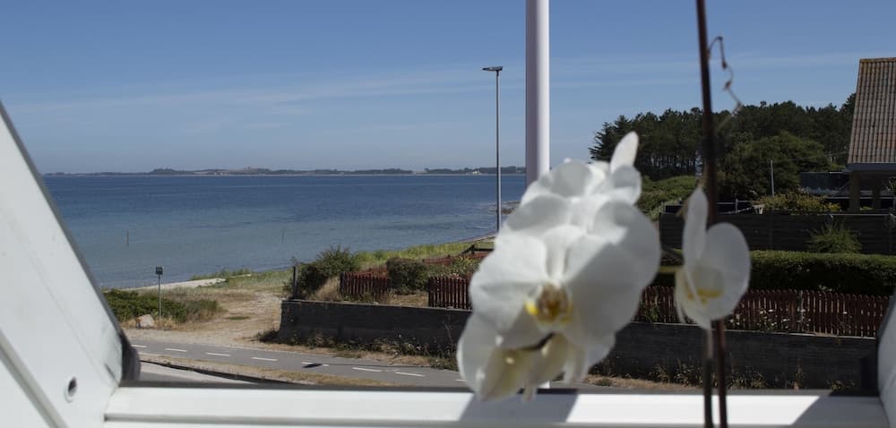 Samsø Perlen photo 4