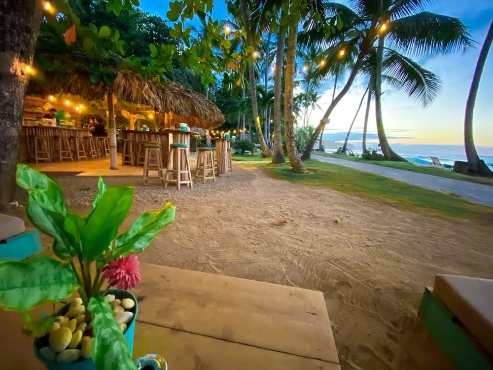 Mosquito Boutique Hotel photo 5