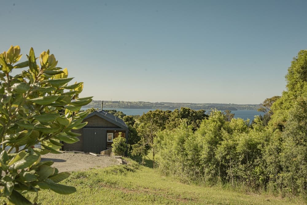Ave Lodge photo 9