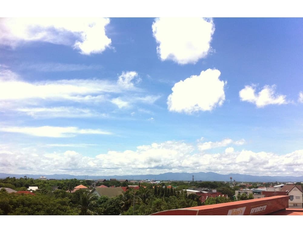 The Coconut Hotel photo 4