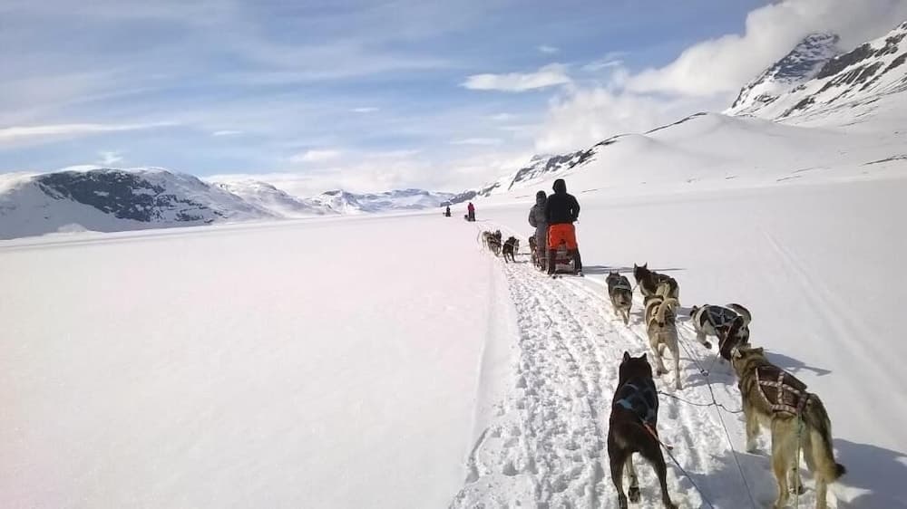 Bygdin Fjellhotell photo 2