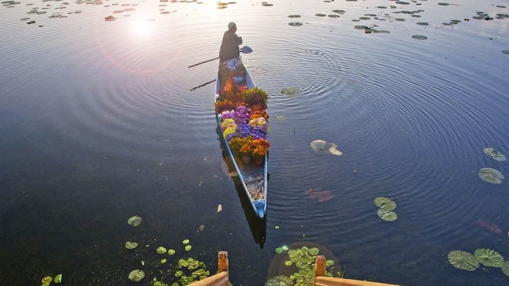 Houseboat Zaindari Palace photo 7