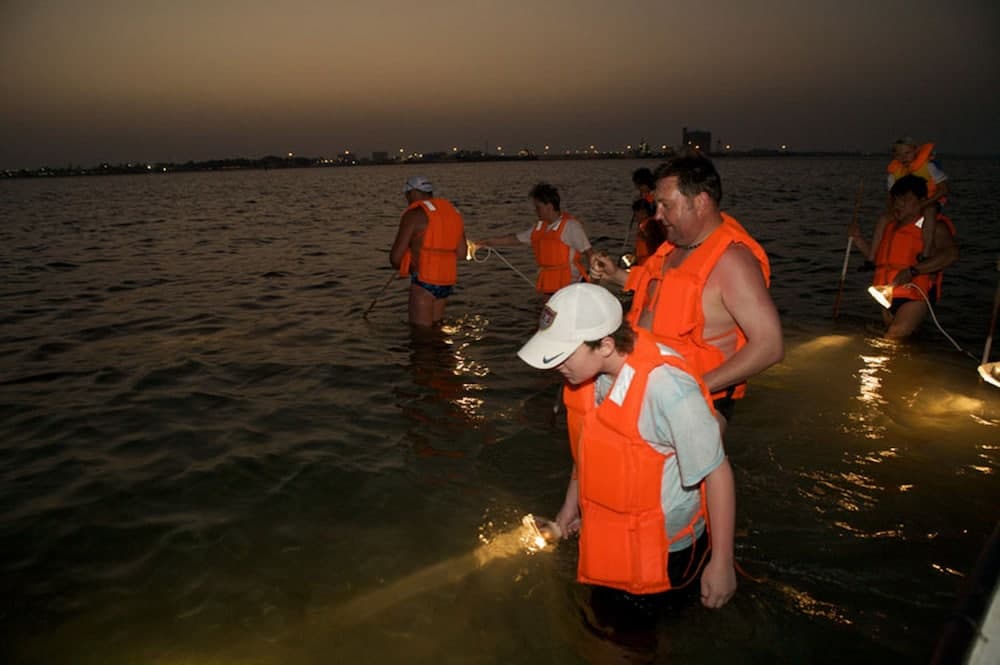 Flamingo Beach Hotel photo 9