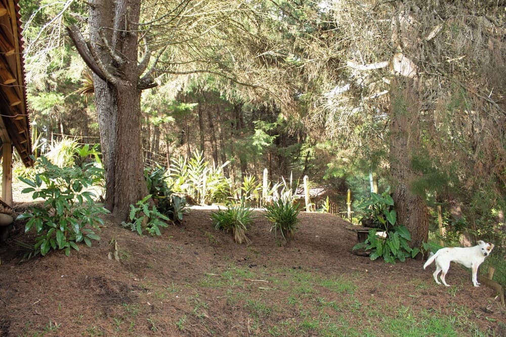Wasikuna cabañas rurales tipo glamping photo 4