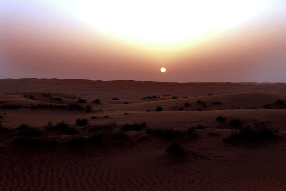 Sand Delight Tourism Camp photo 6