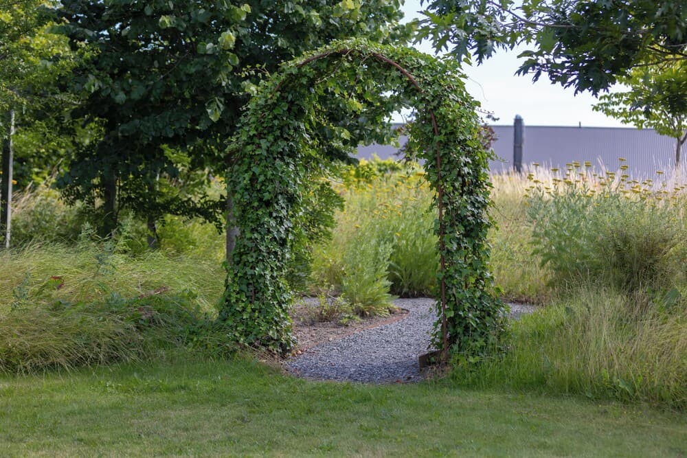 Örums Nygård Österlen Spa & Konferens photo 6