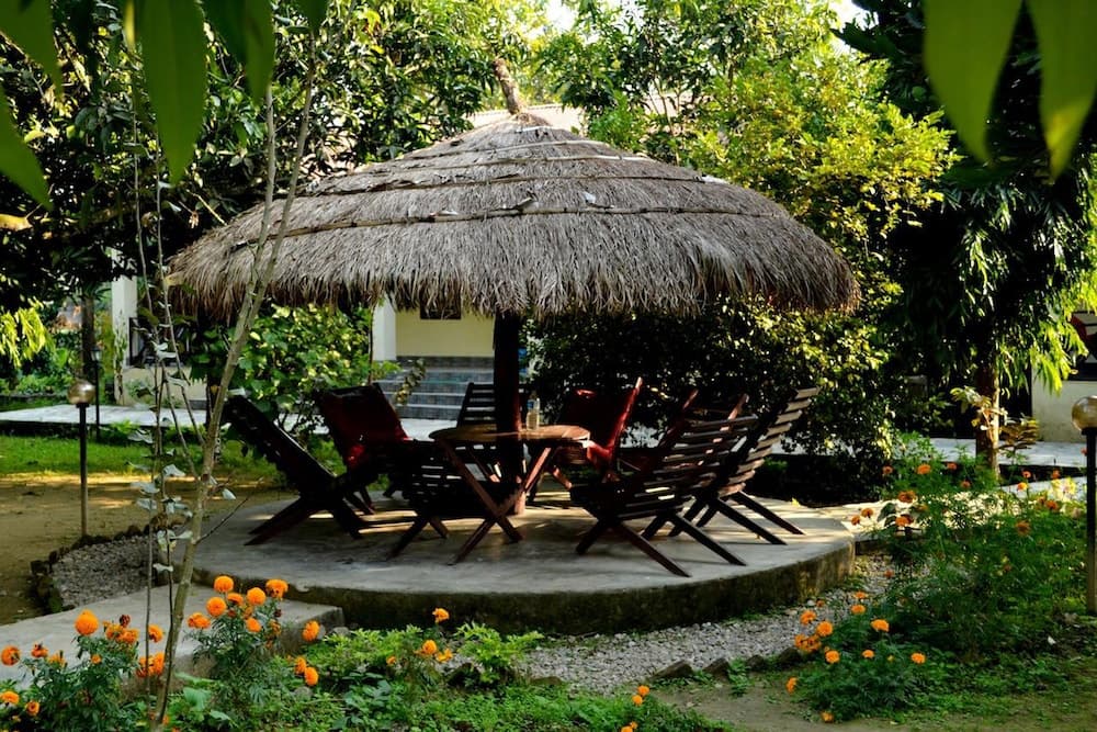 Traveller Jungle Camp photo 2