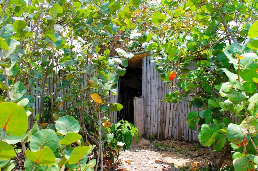 Great Huts photo 2