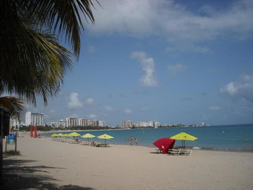 Mare 1562 photo 6
