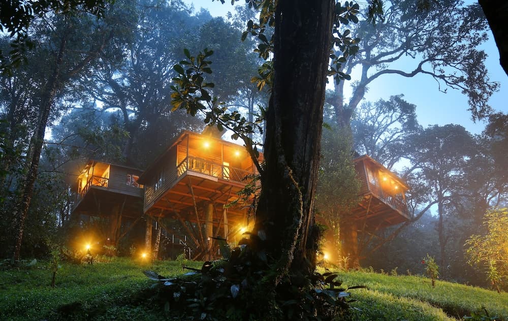 Nature Zone Jungle Resort photo 4