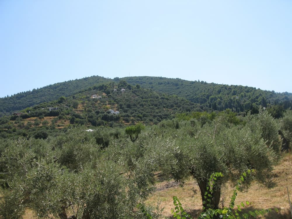 Hotel Prince Stafilos photo 2