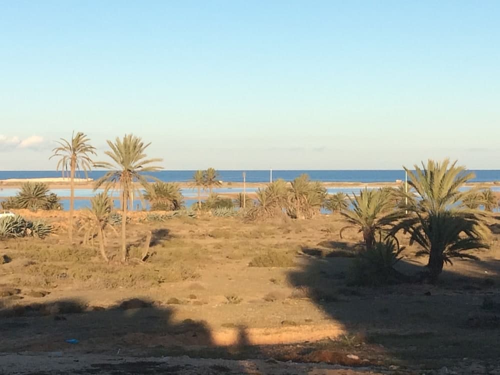 Dar Jasmin Djerba photo 7
