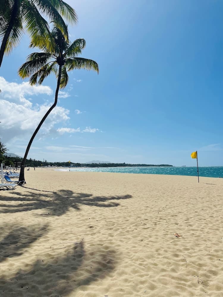 Playa Dorada King Bed Beachfront photo 9