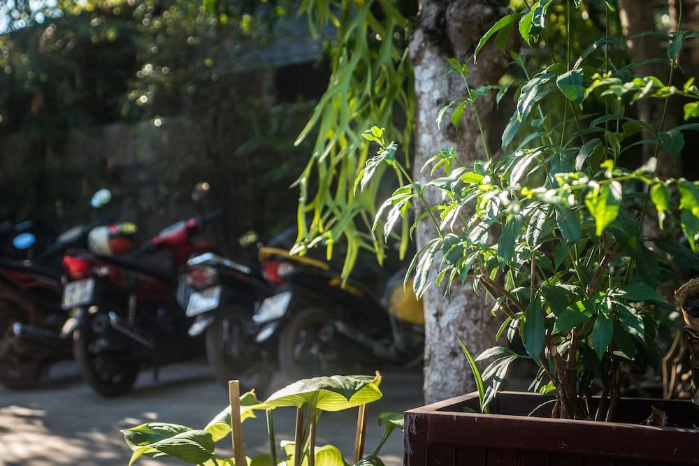 Cosy Bungalow Phu Quoc photo 2