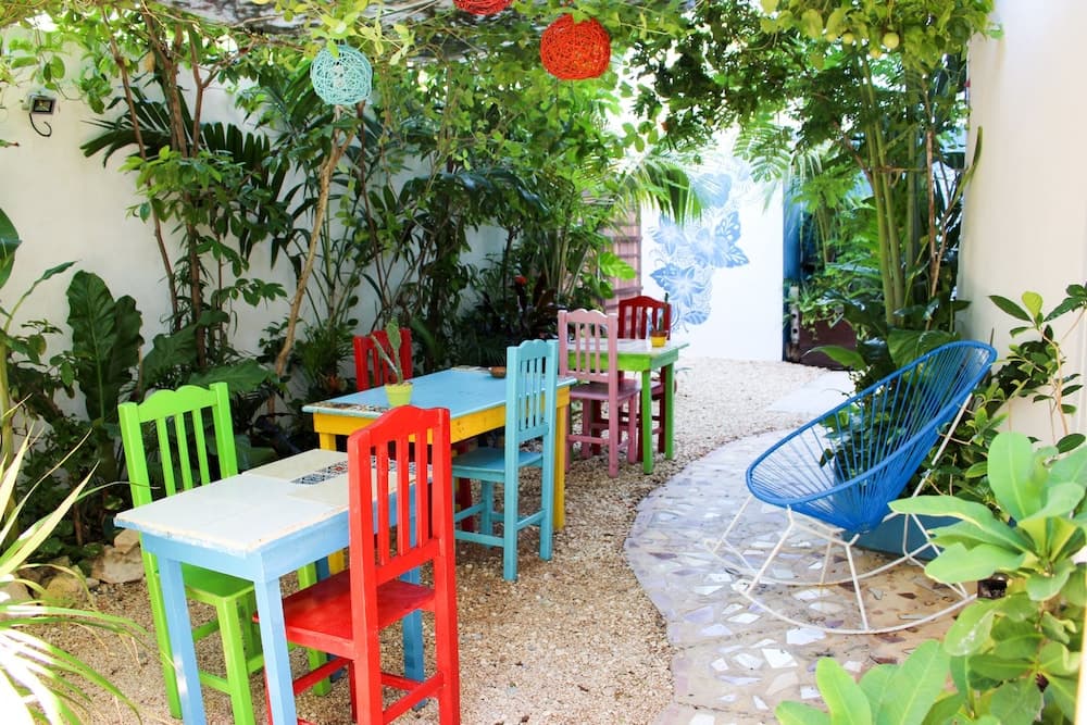 Vainilla B&B Mexico photo 4