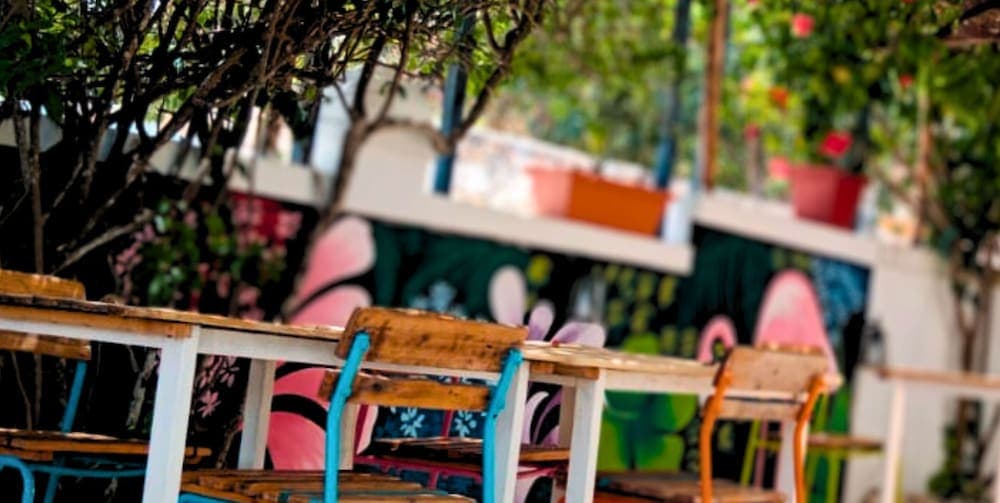Altea Lodge photo 7