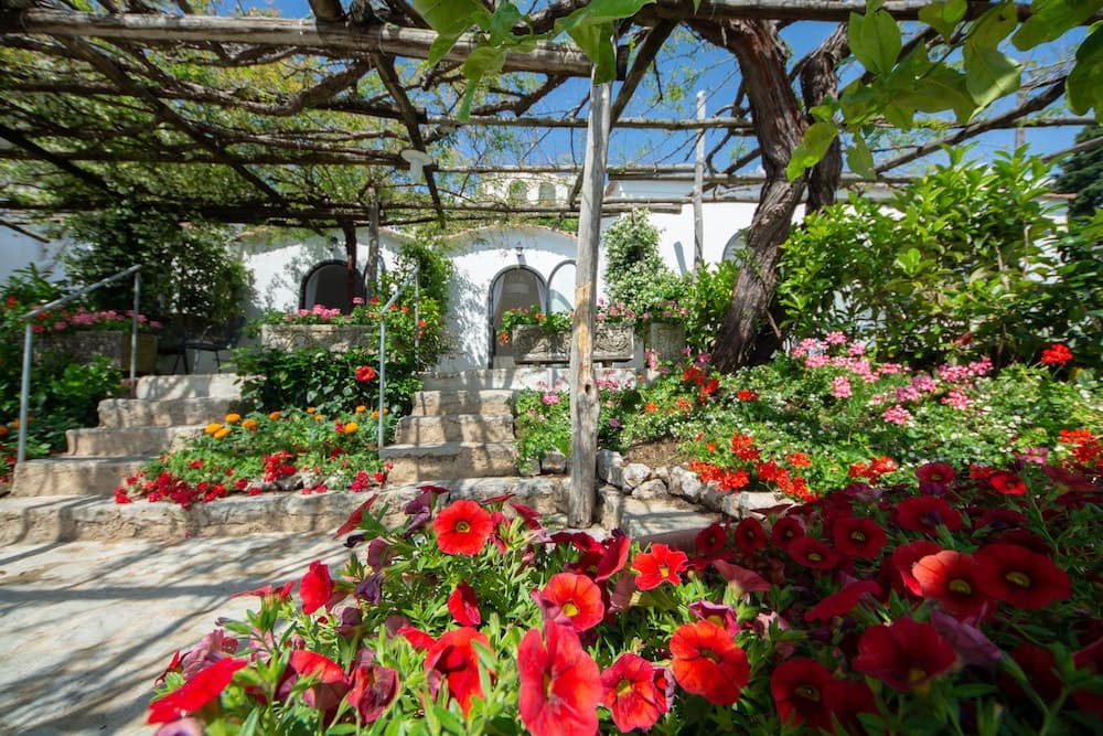 Villa Amore photo 8