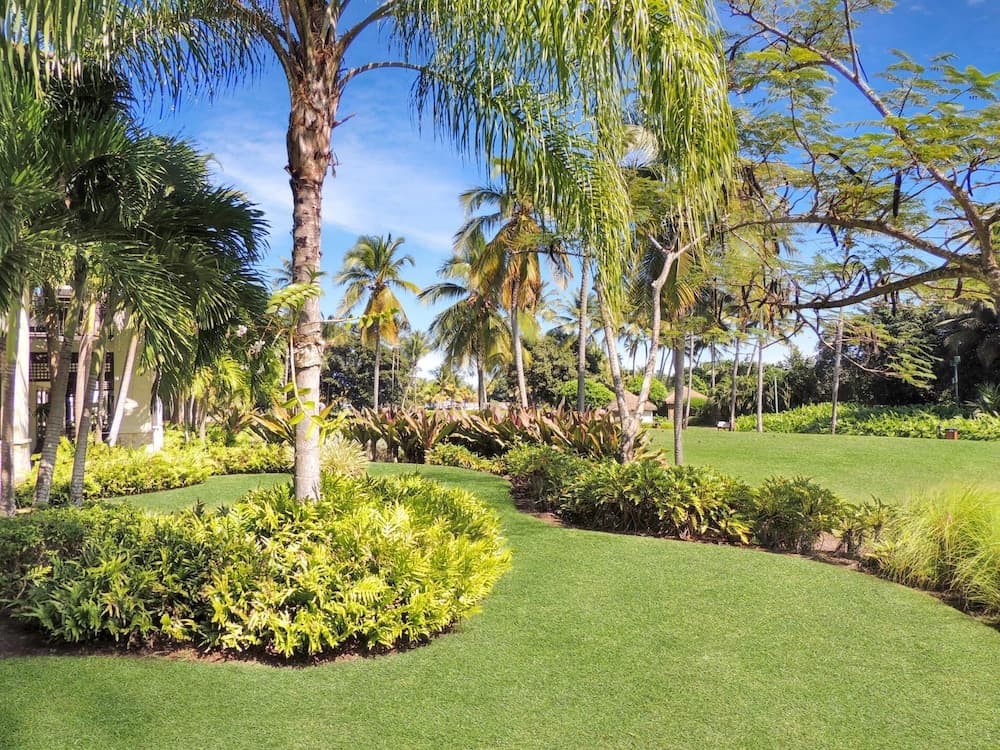 Orchid Villa photo 5